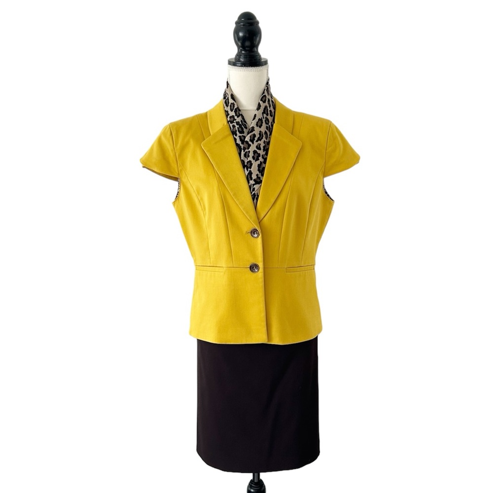 Tahari ASL Women’s Two Piece Gold and Dark Brown Cap Sleeve Skirt Suit Size 14P - Picture 2 of 16